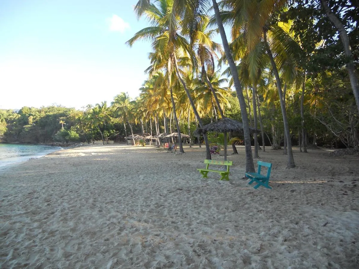 ** Aparthotel Water Island Hotel & Villas United States Virgin Islands